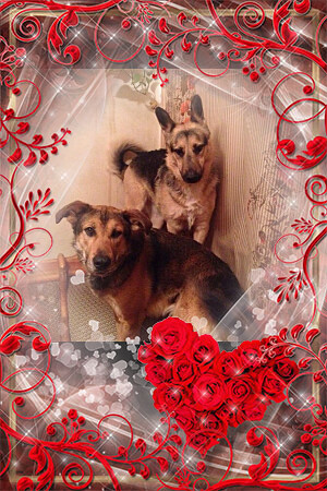 ���� ������ 3