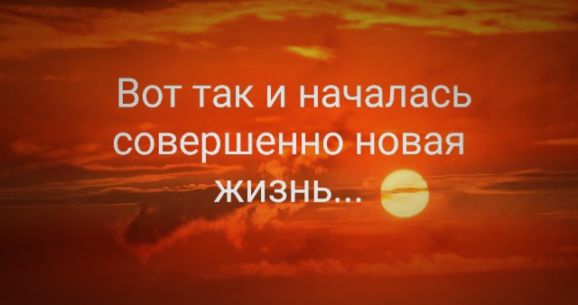 ���� ���������