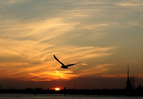 ���� ո����