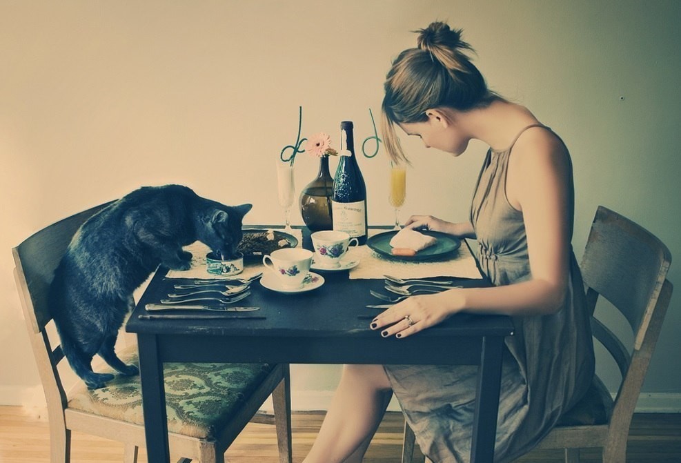 ���� ��������