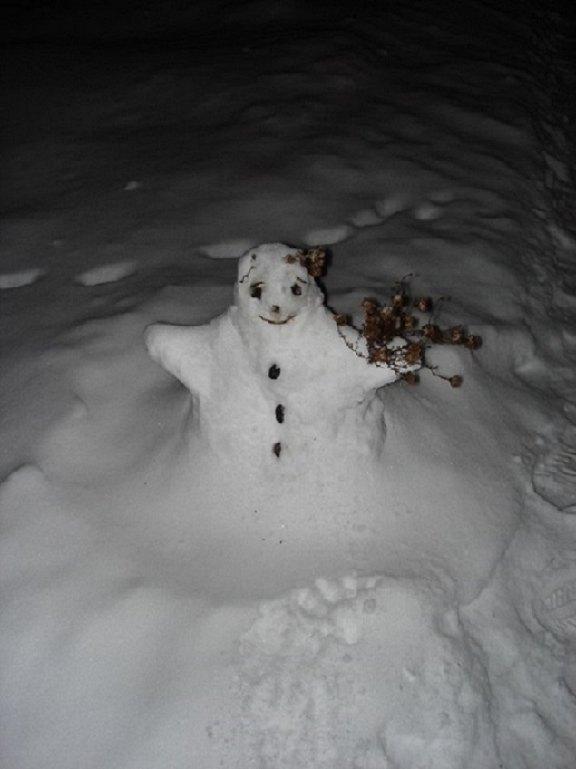 ������� ������