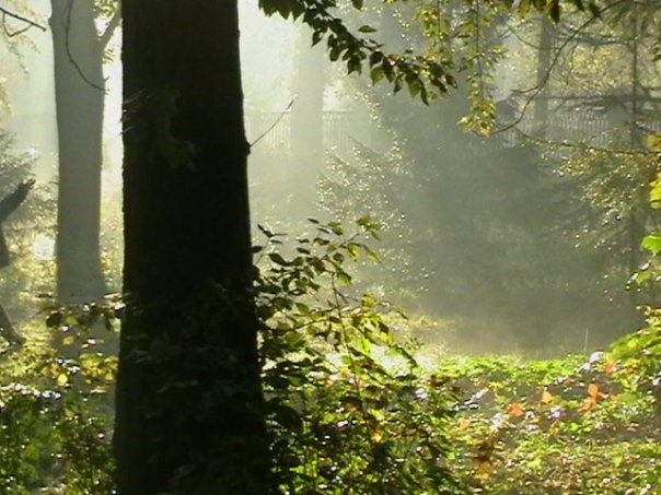 ������� �����