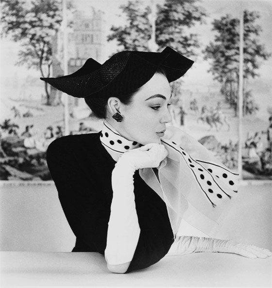 ���� ����������