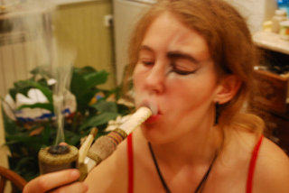 Лис Из Кармартена