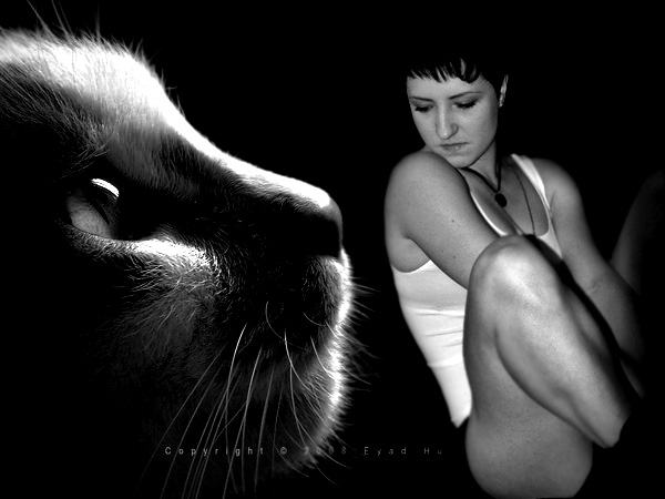 ������� �����������