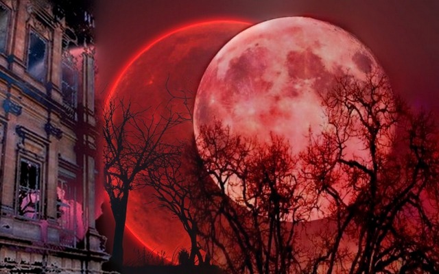 ����� ��������