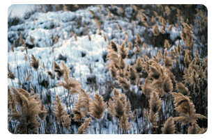 Валерия Никакая