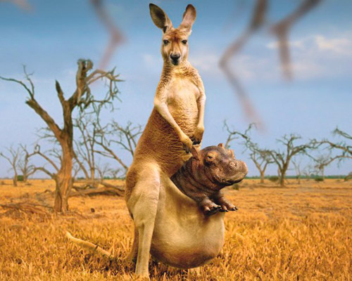 ������� ������� 5