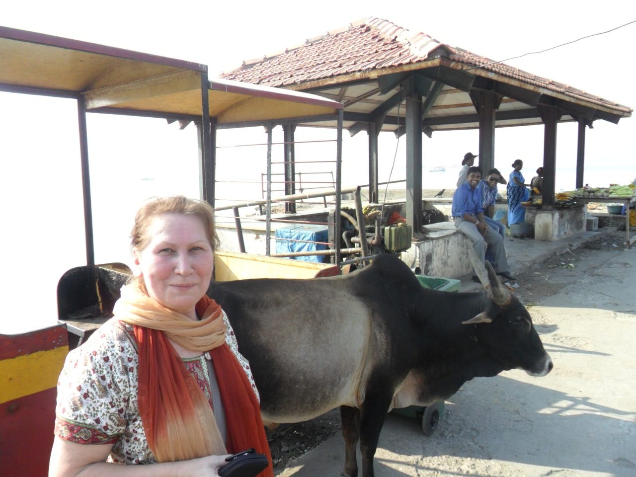 ���� �������