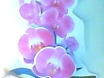 ����� ��������