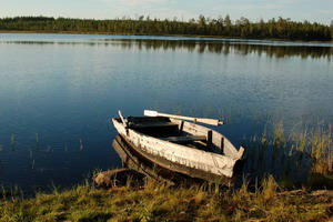 Оксана Голос