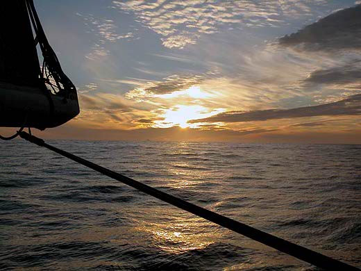 ���� ��������