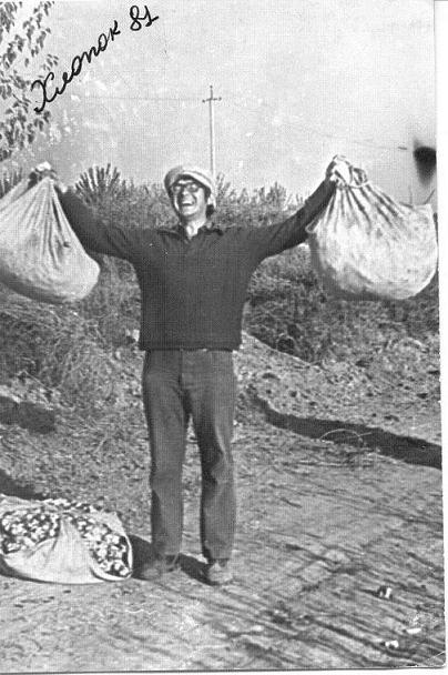 ������ ����������