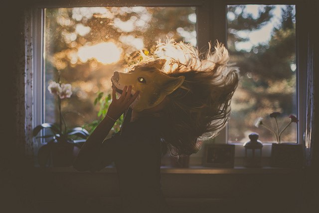 ������� ��������