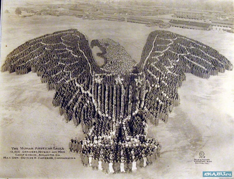 ����� �������