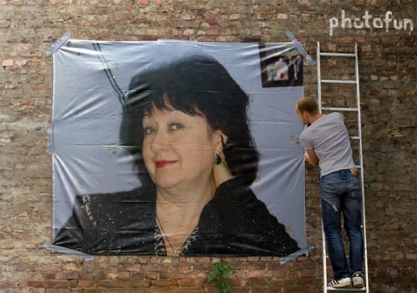 ���� ����������