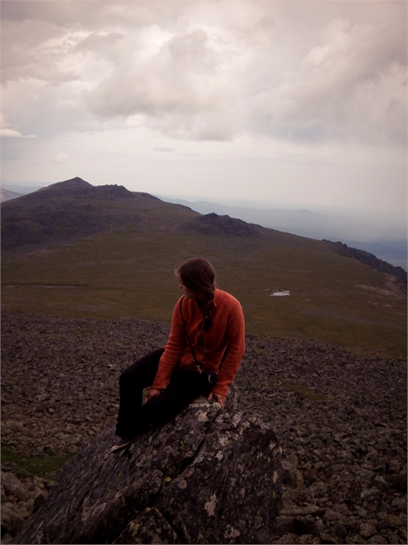 ������ ���������