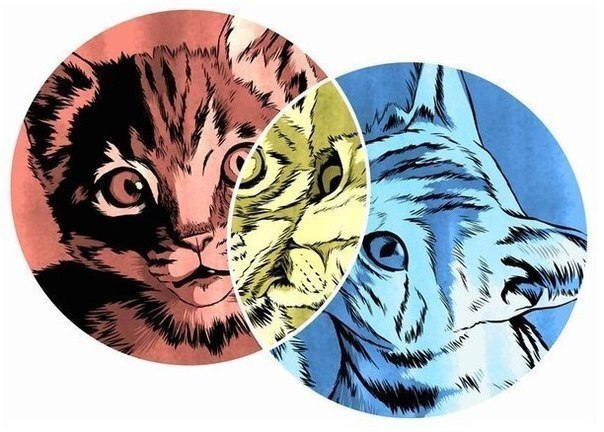 ��� ���������