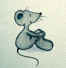 ���� ��������