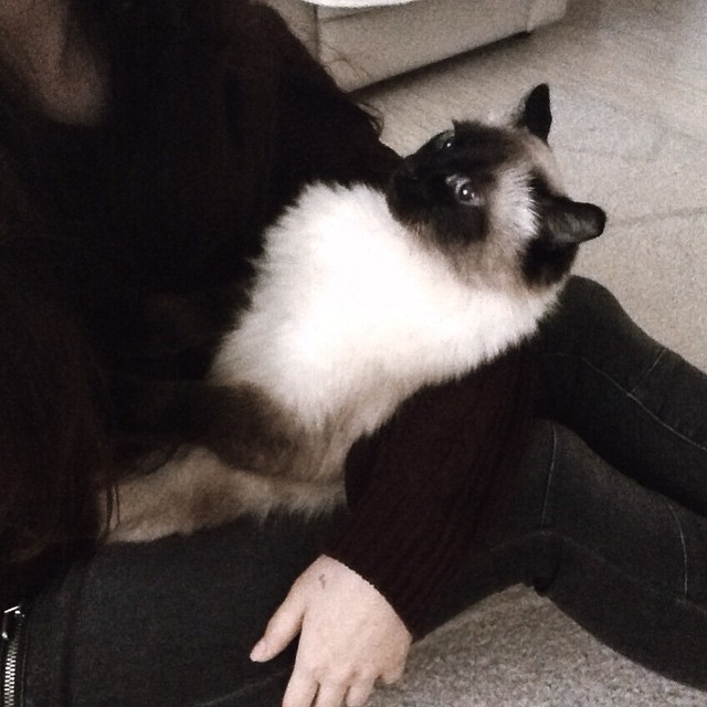 Катя Зильбер