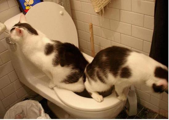 ���� ����