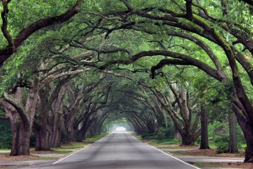 ��������� ����