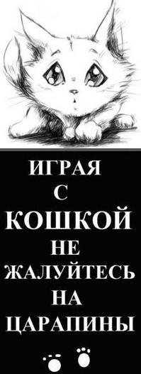 ������� ���� 2