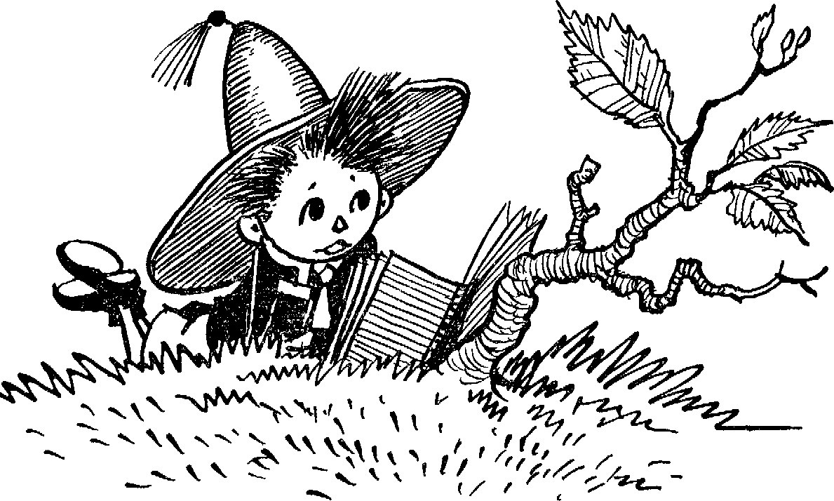 ��������� ��������