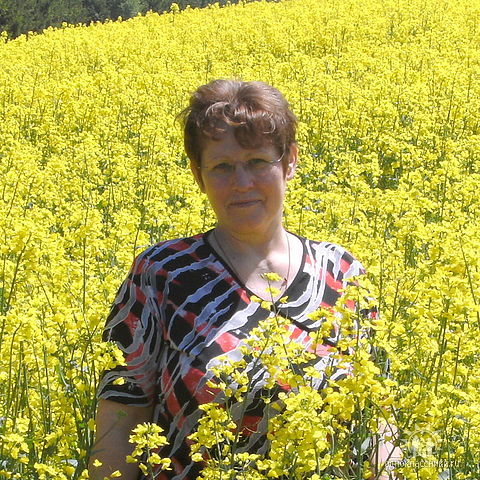 ��������� �������