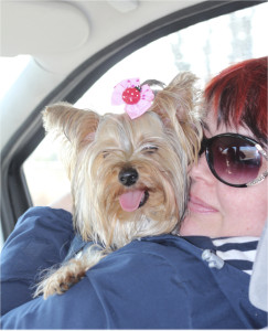 ����� ������