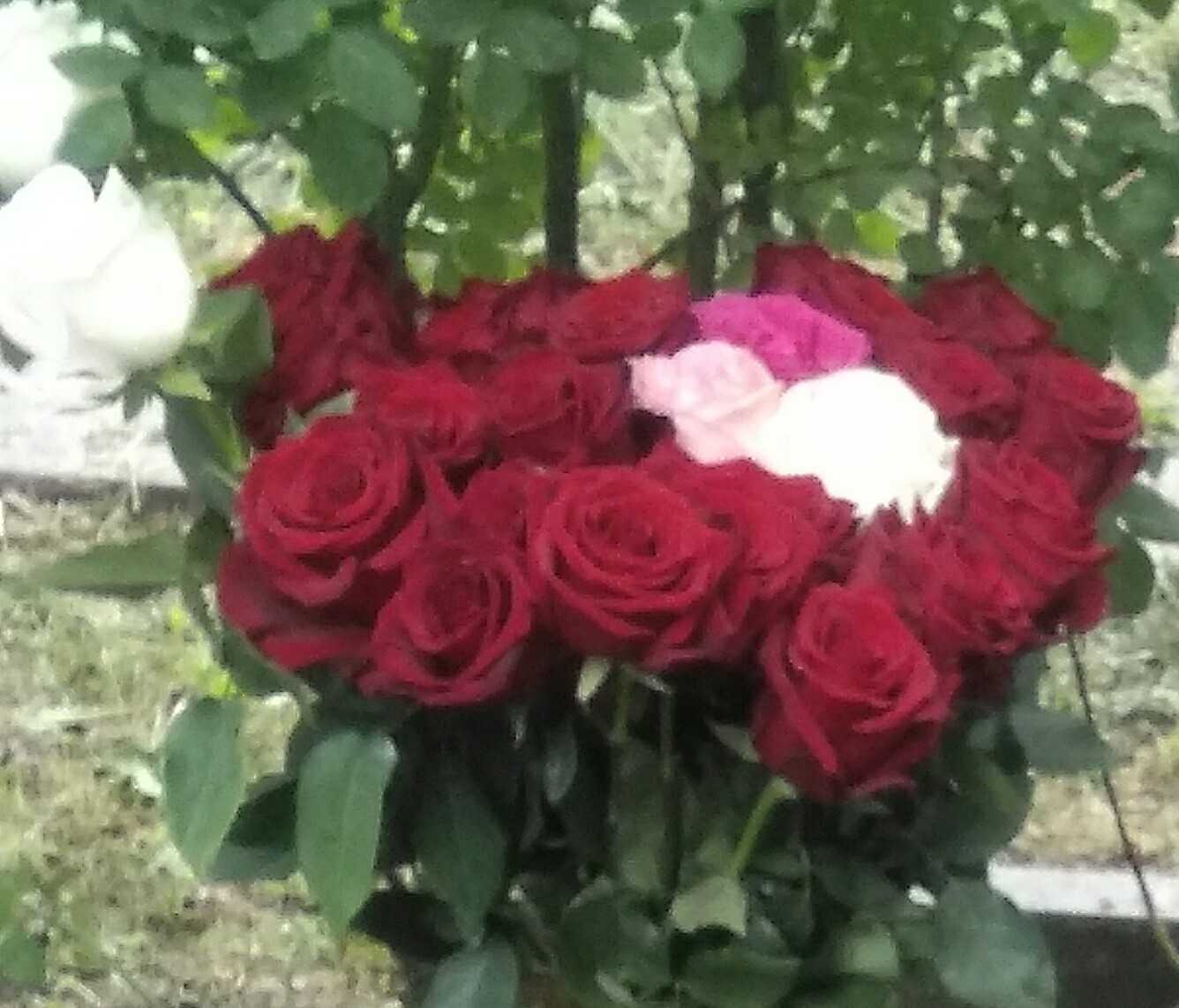 ��������� ���������