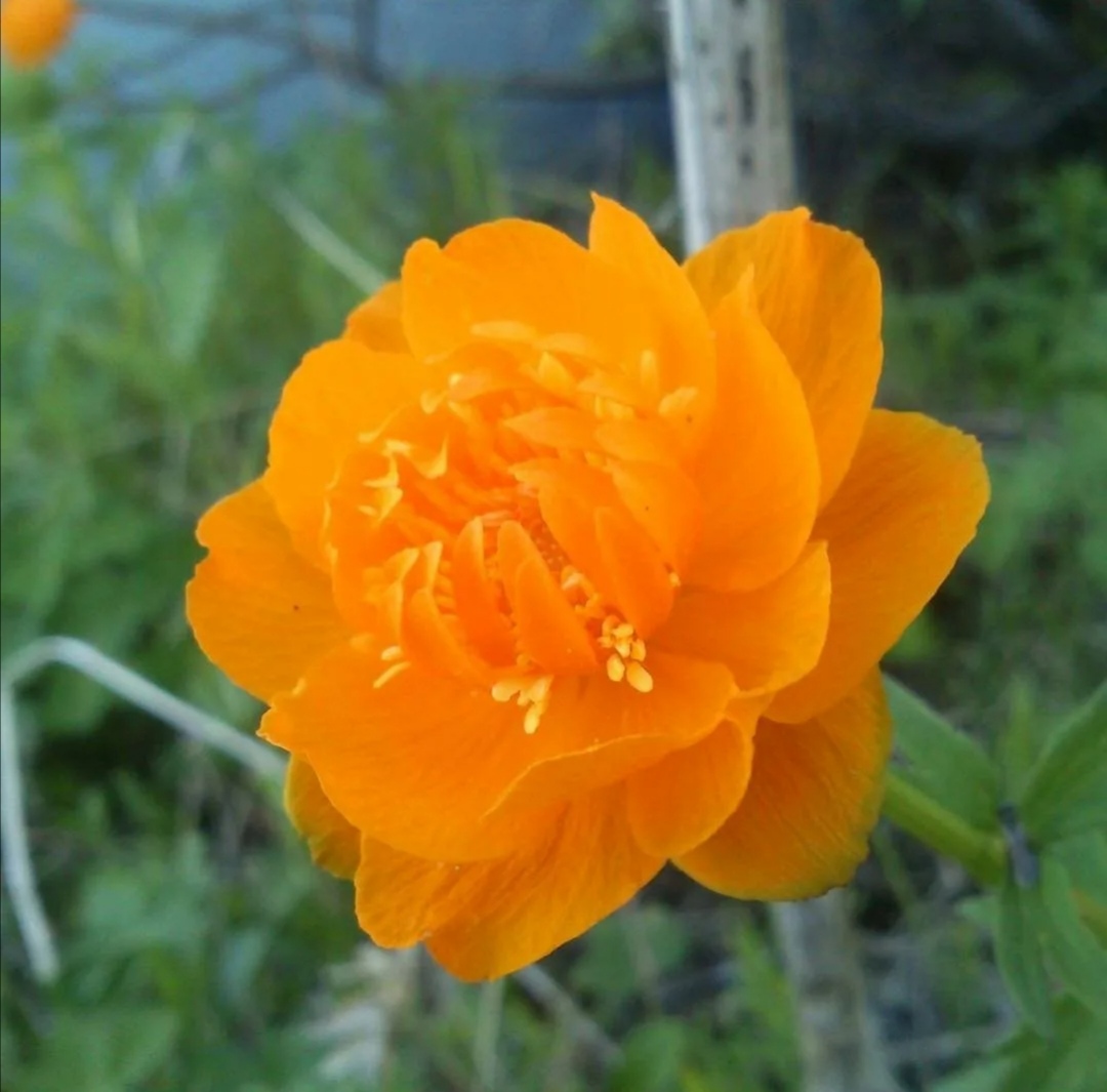 ����� ����� �������������