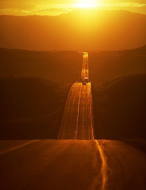 ���� ����