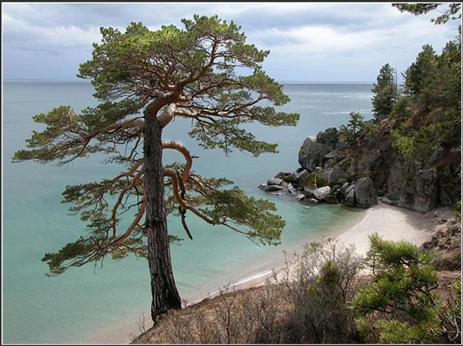 �������� ��������� ���-������