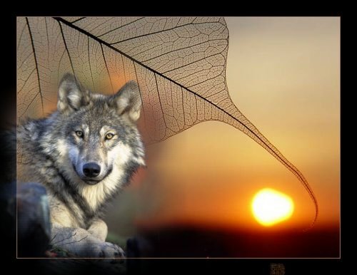 ���-������ �������� ���������