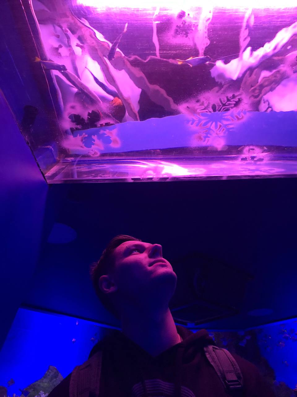 ������� �����