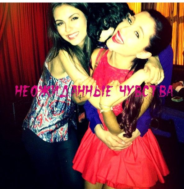 ���� �������