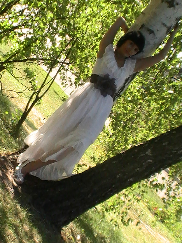 ���� ������