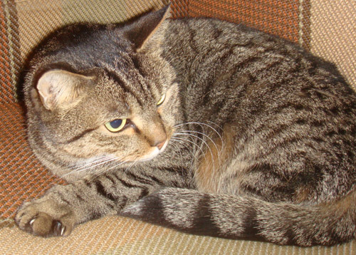 Бартенева Наталья Евгеньевна