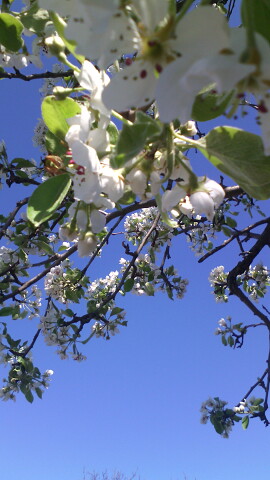 Надежда Грушинина