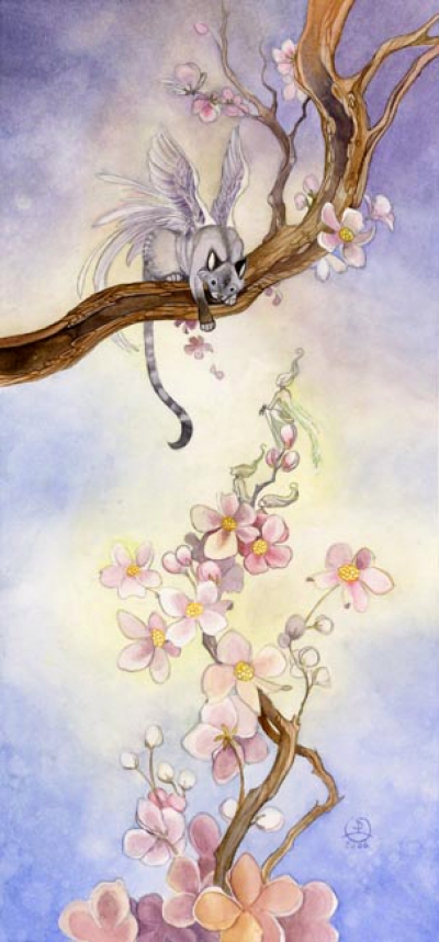 ��� ����� �����