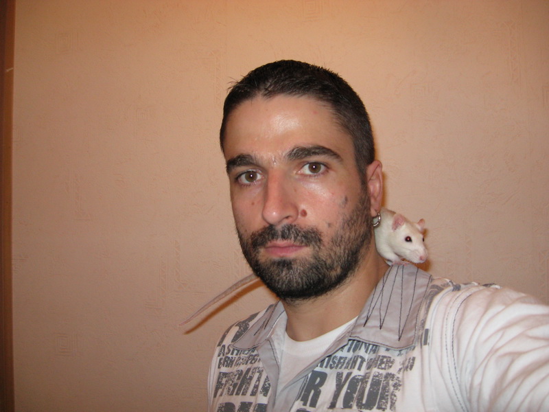 ������ ��������