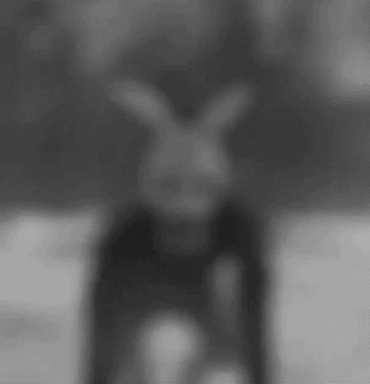 ����� ��������