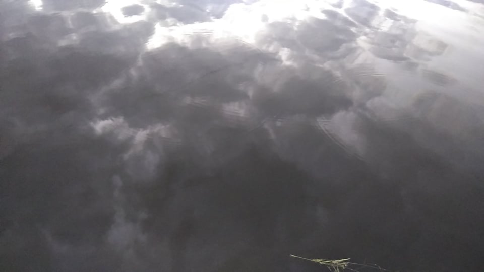 Кирилл Молев