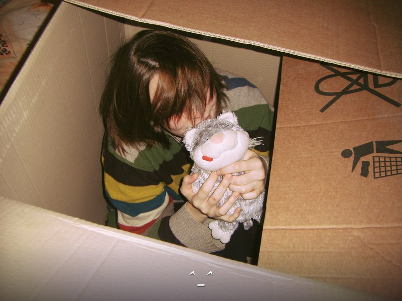 ���� ���������