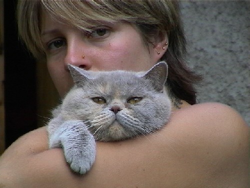 ���� ������