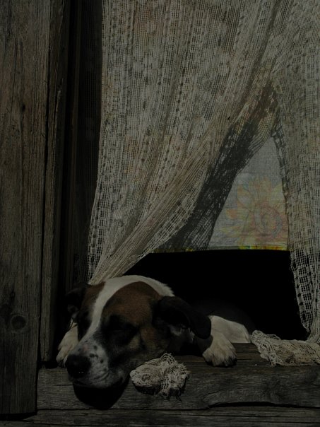 ������� �����