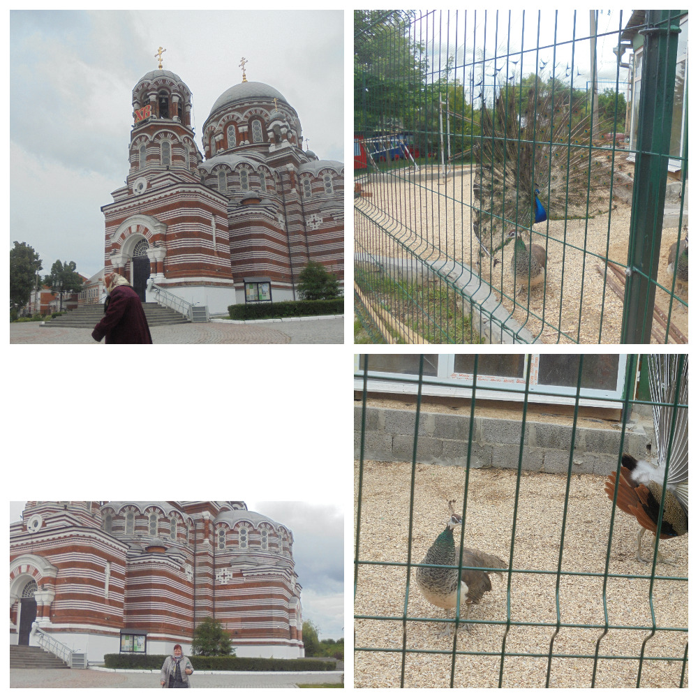 ����� �����������