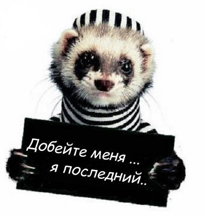 ����� ������ �������