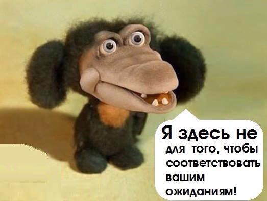 ��� ����